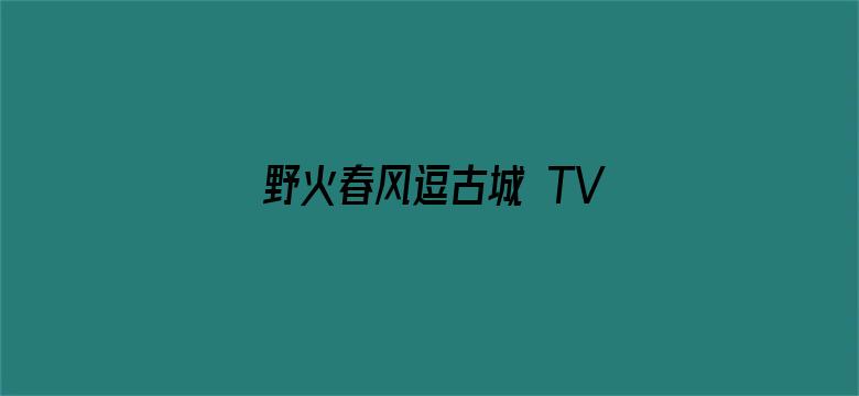 野火春风逗古城 TV版